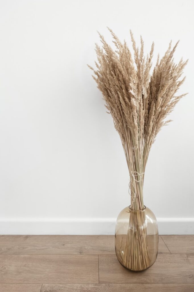 pampas grass - 20 decor ideas to make your apartment look expensive